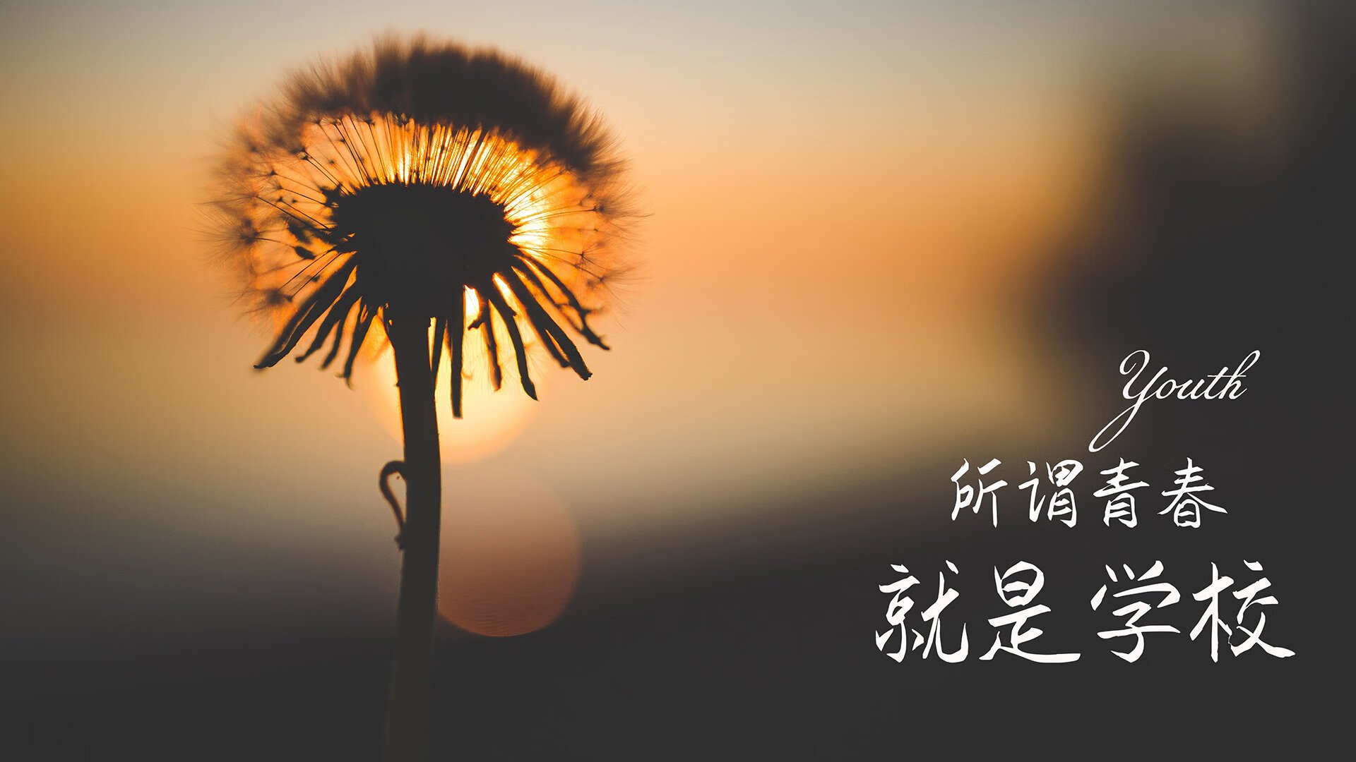 湖人队更换助理教练阵容谋求突破，湖人队助教是谁