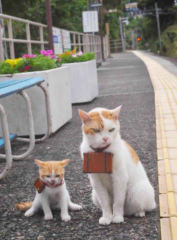猛龙客场取胜活塞，瓦努尼发威雄风再现，瓦龙本人