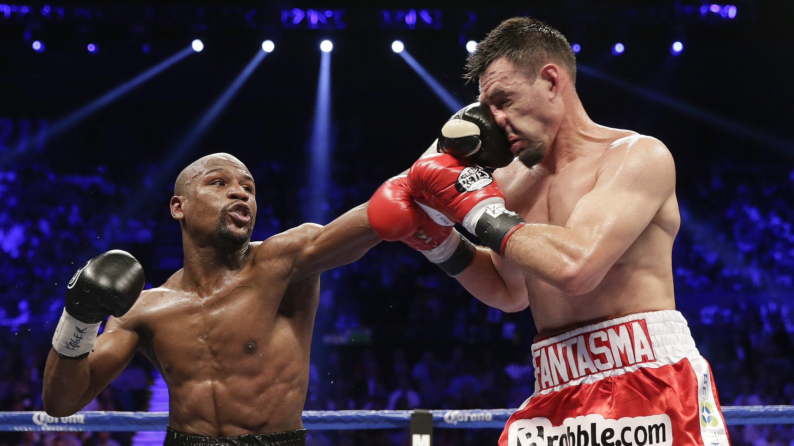 全球车迷：比赛外的文化交流，全球车系