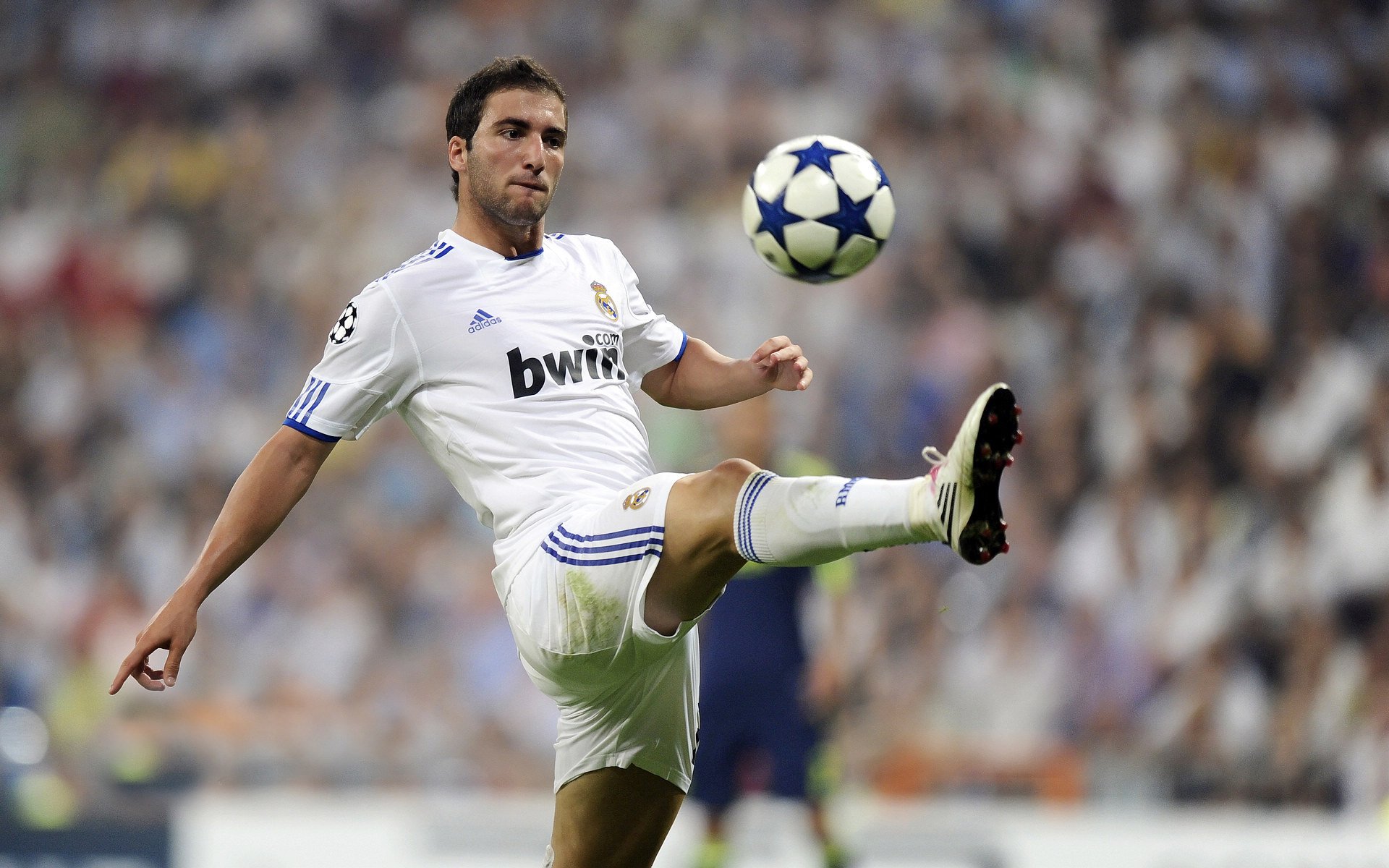 未来“欧洲王者”登基：新一代领军人物崭露头角，欧洲未来知乎